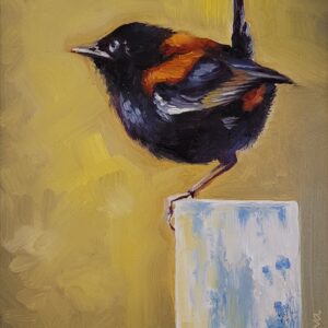 Red Backed Fairy Wren painting