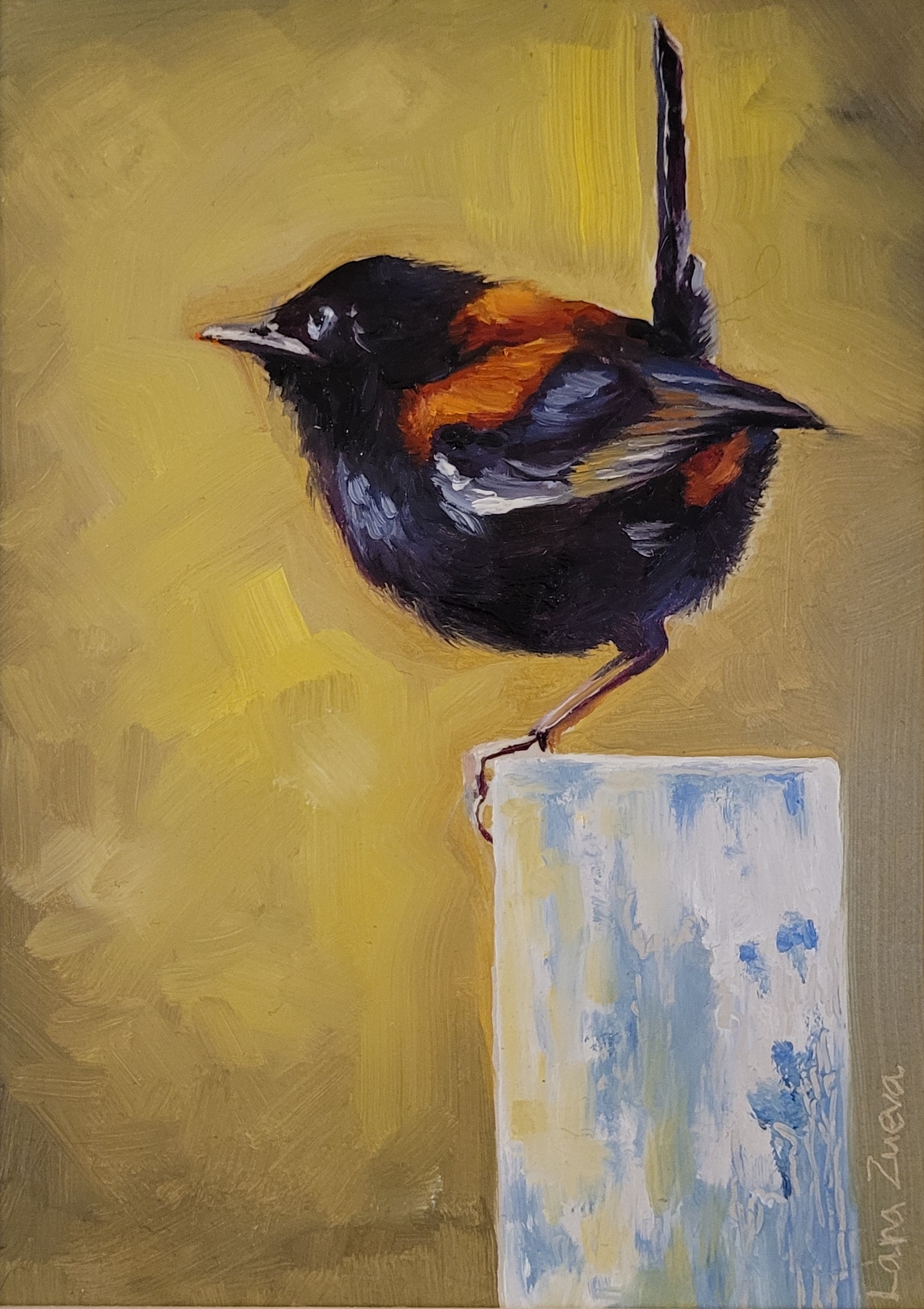 Red Backed Fairy Wren painting